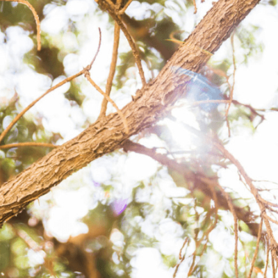 Vypaľovanie ale aj spaľovanie trávy a konárov je zakázané